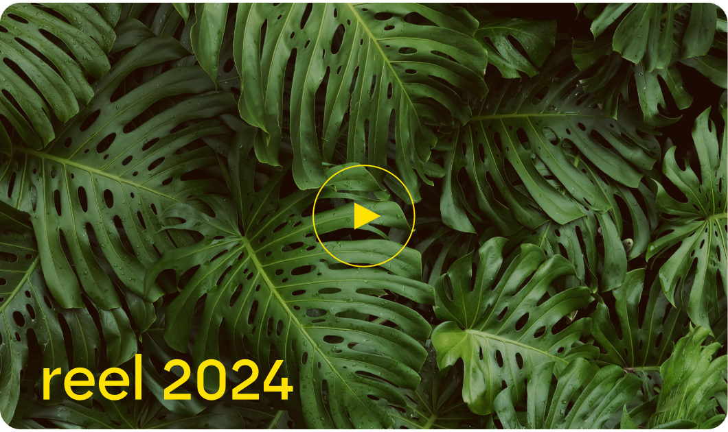 staycreative reel